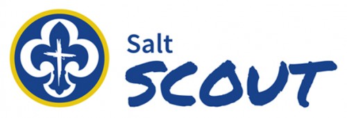 Salt_Scout_Logotyp_farg_liten